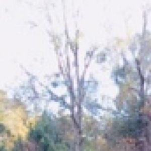 Meet your Posher, Shelly